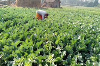 तरकारीखेतीबाटै छोरी डाक्टर र इन्जिनियर